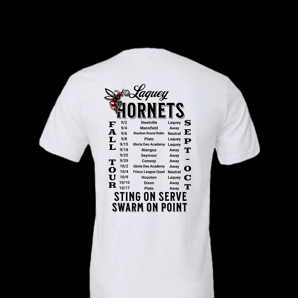 Laquey Hornets | Above The Storm | Fall Tour Tee